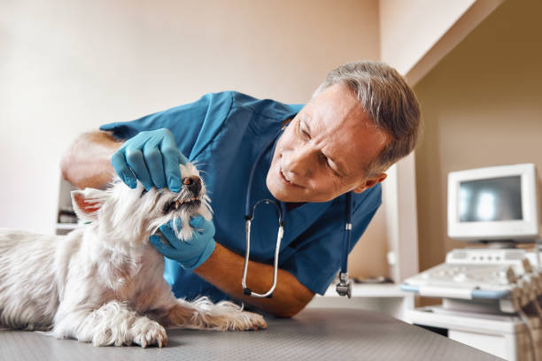 Best Emergency Care for Gum Disease in Henderson, NC